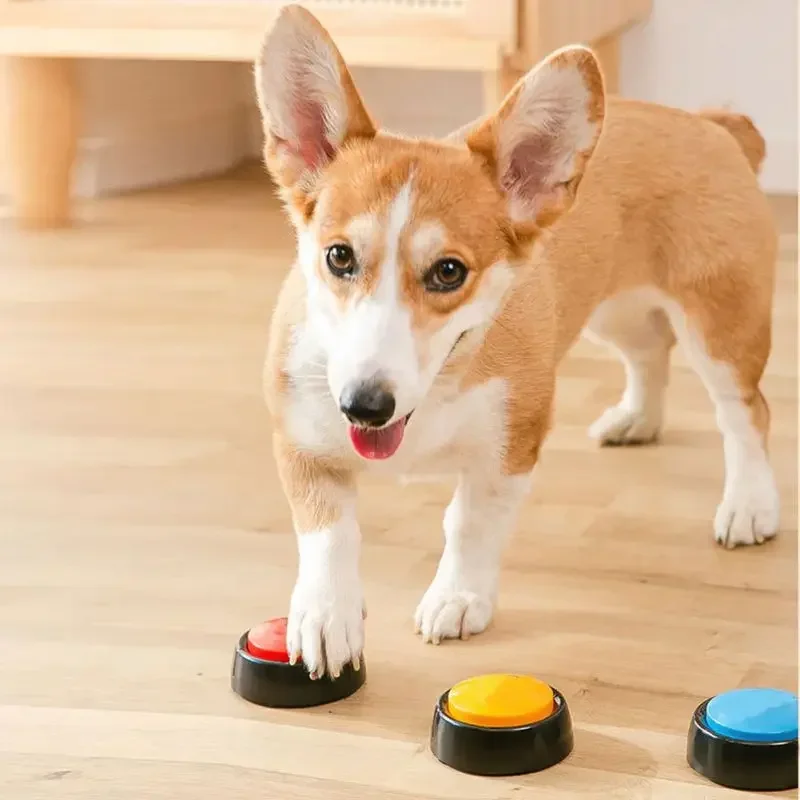 Boîte de son pour animaux de c - Interactive Squeaky Plush Dog Toy avis et prix